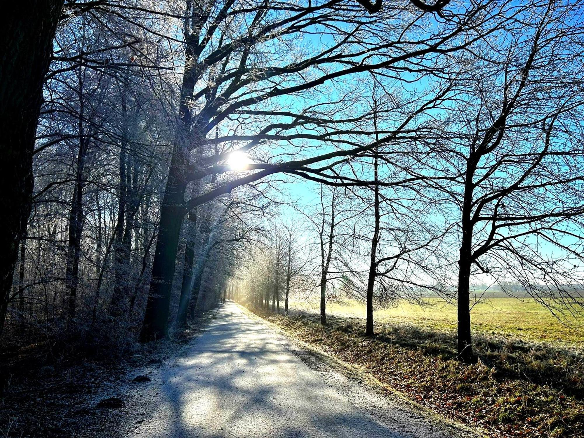 Ferienwohnung Steffenshagen Pritzwalk Esterno foto