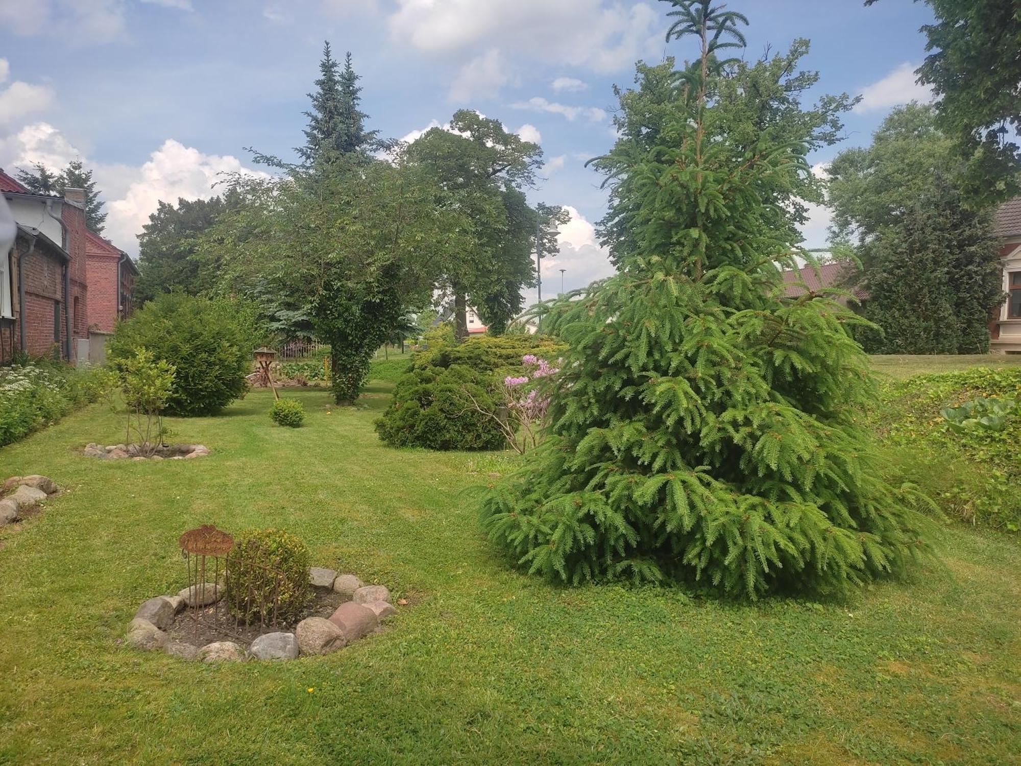Ferienwohnung Steffenshagen Pritzwalk Esterno foto